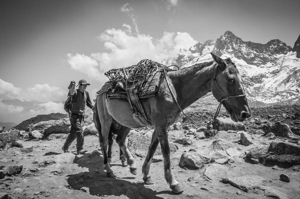 En avant — Des Andes à l'Amazone