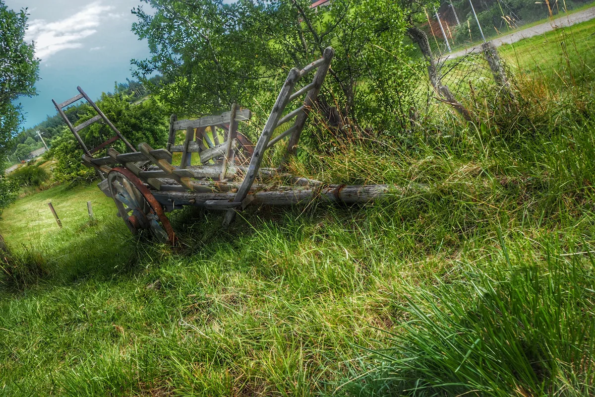 Se mettre au vert — Nadine Eyraud Photographie