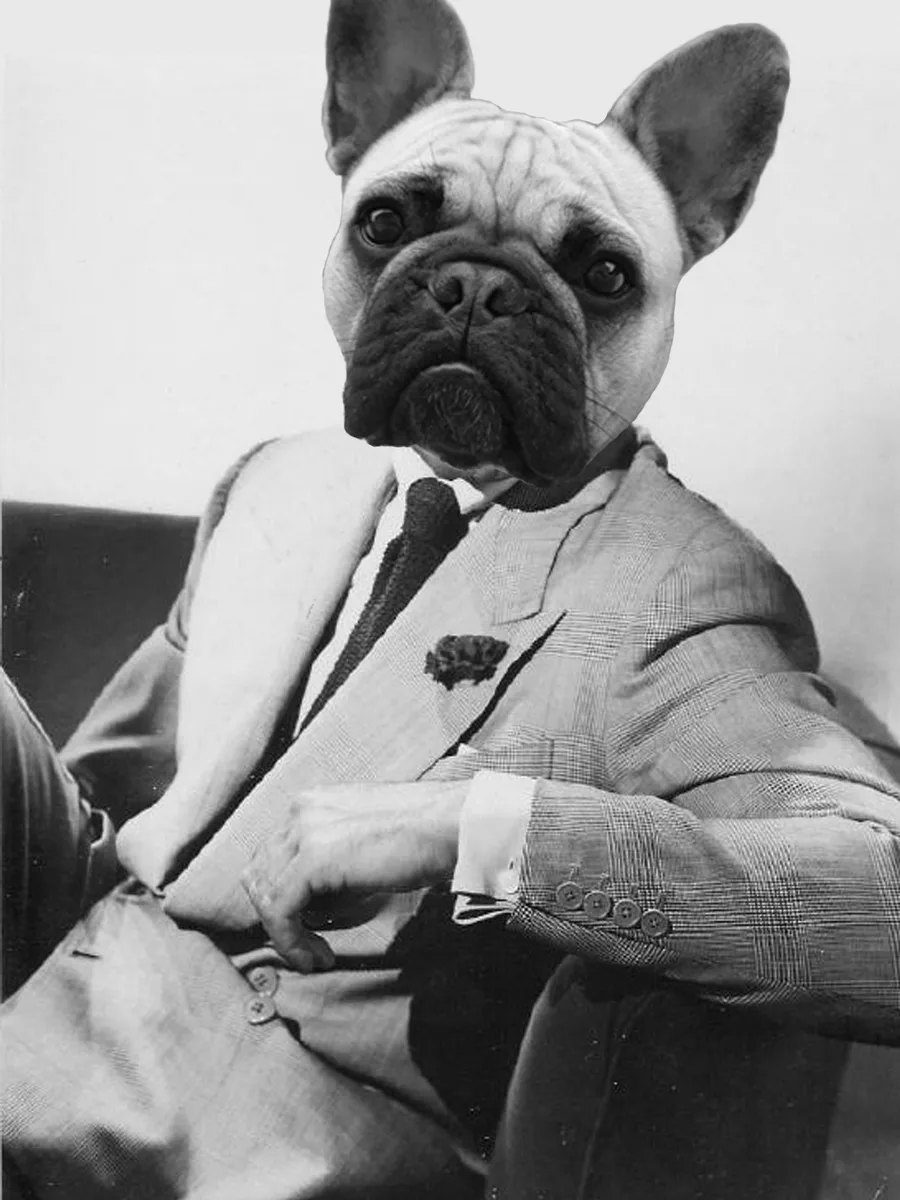 Mister Bouledogue — Katiouchka