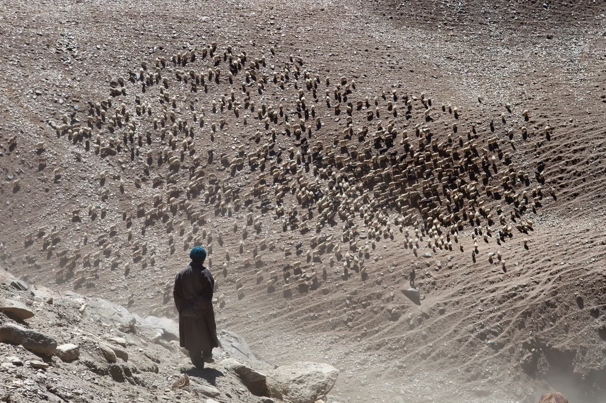 Nomade de l'Himalaya