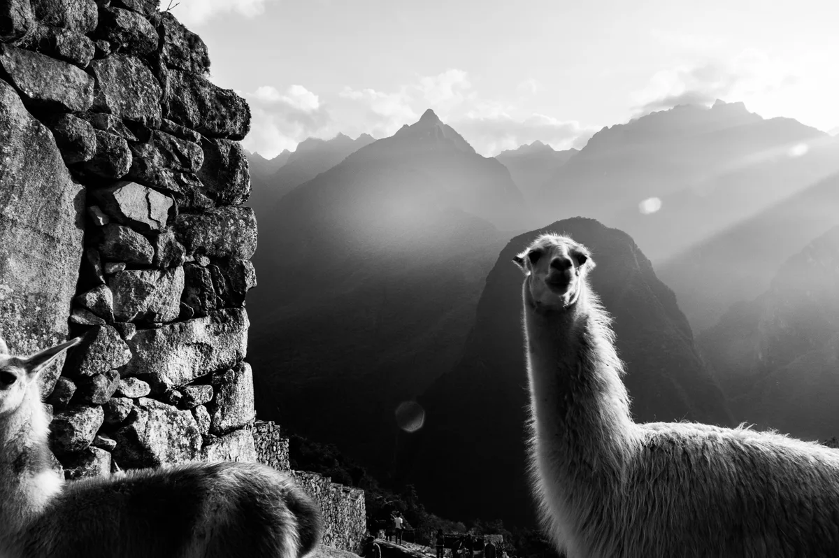 Une histoire péruvienne — Des Andes à l'Amazone