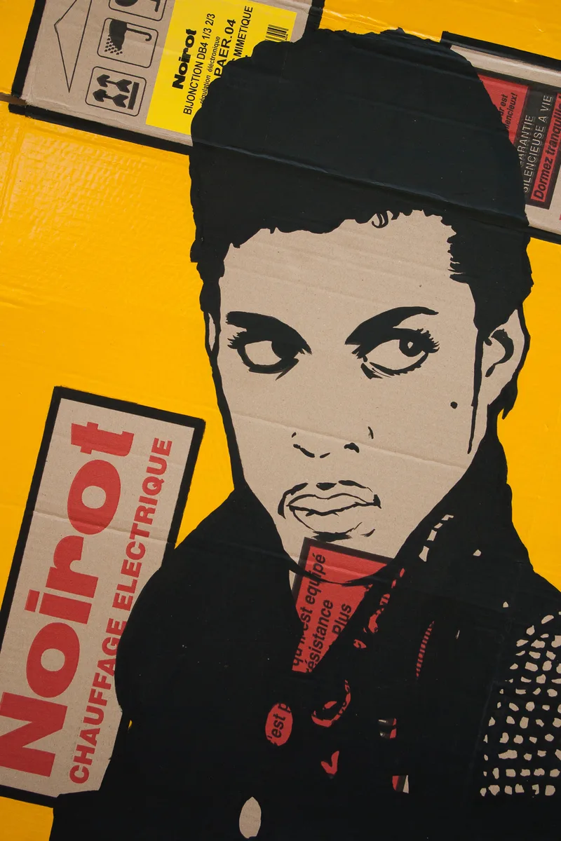 Prince — Xavier Celanie