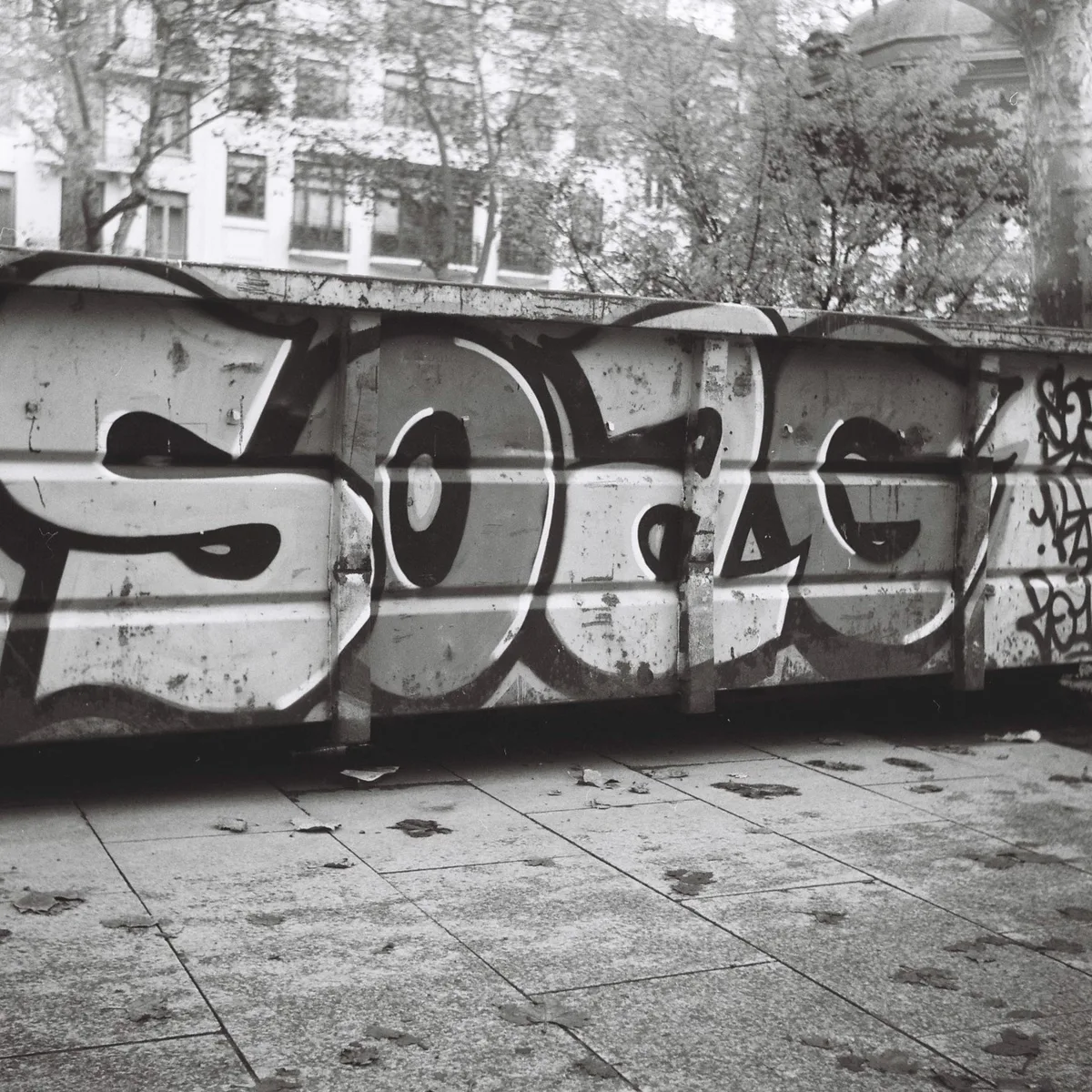 SOAG — lestropie